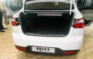 Kia Rio 2016 - Bán Kia Rio đời 2016, màu trắng, 480tr giá 480 triệu tại Cà Mau