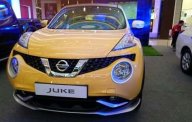 Nissan Juke 2015 - Bán xe Nissan Juke đời 2015, màu vàng, nhập khẩu giá 1 tỷ 60 tr tại Bình Dương