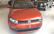 Volkswagen Polo  6AT    2016 - Bán Volkswagen Polo 6AT đời 2016, màu nâu, nhập khẩu nguyên chiếc giá 715 triệu tại Bình Định