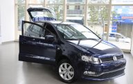 Volkswagen Polo  6AT   2016 - Cần bán Volkswagen Polo 6AT   đời 2016, màu xanh lam, xe nhập giá 715 triệu tại Bình Định