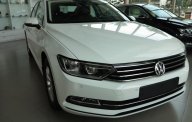 Volkswagen Passat CC 1.8 TSI 2016 - Đà Nẵng: Volkswagen Passat S 1.8 TSI đời 2016, màu trắng, xe nhập. LH 0901.941.899 giá 1 tỷ 299 tr tại Bình Định