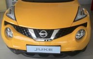 Nissan Juke 2015 - Bán ô tô Nissan Juke đời 2015, liên hệ 9339163442, nhập khẩu, cùng chương trình siêu khuyến mãi về giá giá 1 tỷ 60 tr tại Bình Dương