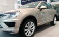 Volkswagen Touareg E 2016 - Cần bán xe Volkswagen Touareg E đời 2016, xe mới giá 2 tỷ 698 tr tại Tp.HCM