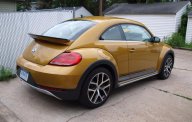 Volkswagen Beetle 2016 - Bán ô tô Volkswagen Beetle đời 2016, nhập khẩu giá 1 tỷ 450 tr tại Bình Định
