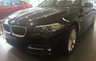BMW 5 Series 520i 2016 - Cần bán xe BMW 5 Series 520i đời 2016, màu đen, nhập khẩu giá 2 tỷ 213 tr tại Tiền Giang