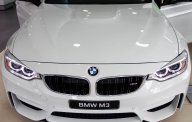 BMW M3 2016 - Cần bán xe BMW M3 đời 2016, màu trắng, nhập khẩu chính hãng, giá ưu đãi rẻ nhất giá 3 tỷ 820 tr tại Đà Nẵng