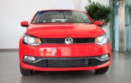 Volkswagen Polo 2016 - Bán xe Volkswagen Polo năm 2016, màu đỏ, nhập khẩu chính hãng, 716tr giá 716 triệu tại TT - Huế