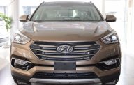 Hyundai Santa Fe CKD 2016 - Bán xe Hyundai Santa Fe đời 2016, màu nâu giá 1 tỷ 226 tr tại Tp.HCM