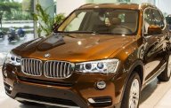 BMW X3   xDrive 20i 2016 - Bán xe BMW X3 xDrive 20i đời 2016, nhập khẩu nguyên chiếc giá 1 tỷ 998 tr tại Đắk Lắk