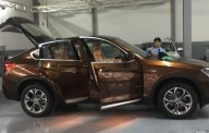 BMW X4 2017 - Bán xe BMW X4 2017, màu nâu, nhập khẩu nguyên chiếc, ưu đãi lớn dịp khai trương giá 2 tỷ 739 tr tại Đà Nẵng