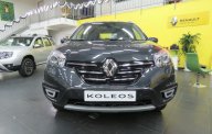 Renault Koleos 2.5 2017 - Renault Koleos 2.5 2017 - Khuyến mại cực lớn 06/2017 - Hotline: 0904.72.84.85 giá 1 tỷ 269 tr tại Hà Nội