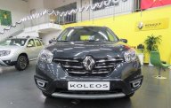 Renault Koleos 2017 - Bán Renault Koleos đời 2017 giá 1 tỷ 419 tr tại Hà Nội