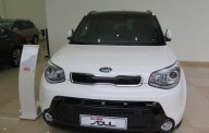 Kia Soul AT 2017 - Bán Kia Soul AT năm 2017, màu trắng, nhập khẩu nguyên chiếc, giá 755tr giá 755 triệu tại Hà Nội