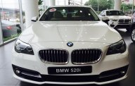 BMW 5 Series 520i 2017 - Bán xe BMW 5 Series 520i 2017, màu trắng, nhập khẩu chính hãng, giá rẻ nhất giá 2 tỷ 98 tr tại TT - Huế