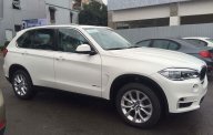 BMW X5 xDrive35i 2017 - Bán ô tô BMW X5 xDrive35i đời 2017, màu trắng, nhập khẩu nguyên chiếc, giảm giá tiền mặt, quà tặng hấp dẫn giá 3 tỷ 788 tr tại Đà Nẵng