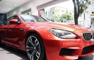 BMW M6 Sport 2017 - Cần bán BMW M6 Sport đời 2017, màu đỏ  giá 6 tỷ 688 tr tại Tp.HCM