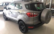 Ford EcoSport Titanium 1.5P AT 2017 - Bán Ford EcoSport Titanium 1.5P AT đời 2017, màu bạc - giá tốt nhất - giao xe tận nhà - hỗ trợ vay 75% giá trị xe giá 658 triệu tại Quảng Trị