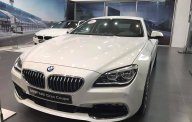 BMW 6 Series 640i Gran Coupe 2017 - Bán ô tô BMW 6 Series 640i Gran Coupe đời 2017, màu trắng, xe nhập giá 4 tỷ 238 tr tại TT - Huế