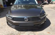 Volkswagen Passat GP 2016 - Đánh giá xe Volkswagen Passat GP, màu nâu, nhập khẩu Đức, tặng BHVC+ 3M. LH Hương: 0902.608.293 giá 1 tỷ 450 tr tại Tp.HCM