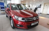 Volkswagen Tiguan 2017 - Bán xe Volkswagen Tiguan 2017, màu đỏ, nhập khẩu chính hãng. Tặng Bhvc, BHDS, Lh: Phượng 097.88.77754 giá 1 tỷ 290 tr tại Đồng Nai