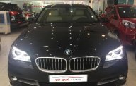 BMW 1 5 520i 2.0AT  2016 - Bán ô tô BMW 1 5 520i 2.0AT 206 đời 2016, màu đen, nhập khẩu chính hãng giá 1 tỷ 880 tr tại Hà Nội