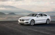 BMW 4 Series 420i Gran Coupe 2017 - Bán BMW 420i Gran Coupe đời 2017, màu trắng, nhập khẩu giá 2 tỷ 68 tr tại Đà Nẵng