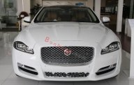 Jaguar XJ  Portfolio V6 3.0L 2017 - Bán ô tô Jaguar XJ Portfolio V6 3.0L đời 2017, màu trắng, nhập khẩu nguyên chiếc giá 7 tỷ 128 tr tại Hà Nội