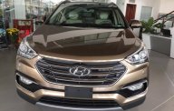Hyundai Santa Fe 2.4AT 2WD 2017 - Bán xe Hyundai Santa Fe đời 2017 mới 100%, giá tốt, hỗ trợ vay vốn, lãi suất thấp. Liên hệ: 01887177000 Phú Yên giá 1 tỷ 111 tr tại Phú Yên