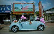 Volkswagen Beetle 2004 - Bán Volkswagen Beetle đời 2004, xe nhập, 540 triệu giá 540 triệu tại Bình Dương