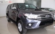 Toyota Hilux G MT 2017 - Cần bán Toyota Hilux G MT đời 2017, màu xám, xe nhập, giá 843tr giá 843 triệu tại Bình Thuận  