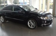 Volkswagen Passat CC 2013 - Volkswagen Passat CC - Sedan nhập khẩu chính hãng - Mua xe vui lòng liên hệ Quang Long 0933689294 giá 1 tỷ 100 tr tại Tp.HCM