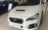 Subaru Levorg 2017 - Levorg Trắng ngọc trai mới nhập cảng 2017 từ Nhật chính hãng, giá không thể tốt hơn giá 1 tỷ 489 tr tại Tp.HCM