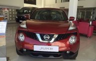 Nissan Juke 2016 - Bán ô tô Nissan Juke đời 2016, màu đỏ giá 1 tỷ 30 tr tại Tp.HCM