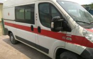 Fiat Ducato   2008 - Cần bán lại xe Fiat Ducato đời 2008, 215tr giá 215 triệu tại Hà Nội