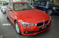 BMW 3 Series 2016 - Bán xe BMW 3 Series đời 2016, màu đỏ, xe nhập giá 1 tỷ 300 tr tại Tiền Giang