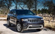 Jeep Grand Cheroke 2017 - Cần bán Jeep Grand Cheroke 2017, màu xám (ghi), xe nhập giá 3 tỷ 900 tr tại Tiền Giang