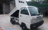 Suzuki Super Carry Truck 2017 - Bán xe tải Ben 500kg- Tặng gói phụ kiện 15tr khi mua xe giá 285 triệu tại Bình Thuận  