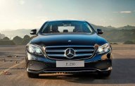 Mercedes-Benz E class E250 2017 - Bán Mercedes E250 đời 2017 giá 2 tỷ 479 tr tại Điện Biên