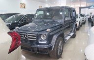 Mercedes-Benz G class G350 AT 2016 - Cần bán xe Mercedes G350 AT đời 2016, màu đen, xe nhập giá 5 tỷ 575 tr tại Hà Nội