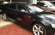 Audi A5 2010 - Cần bán Audi A5 đời 2010, màu đen, nhập khẩu, giá chỉ 880 triệu giá 880 triệu tại Gia Lai