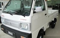 Suzuki Carry 2017 - Bán xe tải Suzuki 650KG chính hãng, mới 100% giá 245 triệu tại Vĩnh Long