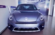 Volkswagen New Beetle DUNE 2017 - Con bọ Beetle Dune 2018 số lượng giới hạn toàn quốc, màu xám (ghi), nhập khẩu giá 1 tỷ 469 tr tại Đà Nẵng