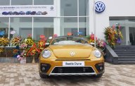 Volkswagen New Beetle AT 2017 - Bán Volkswagen New Beetle năm 2017, màu xám (ghi), xe nhập giá 1 tỷ 469 tr tại Hà Nội