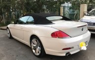 BMW 6 Series 2007 - Bán BMW 6 Series đời 2007 số tự động, giá 970tr giá 970 triệu tại Tp.HCM