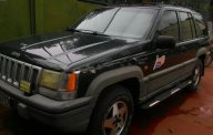 Jeep Grand Cheroke 1994 - Bán ô tô Jeep Grand Cheroke 1994, xe nhập, giá chỉ 165 triệu giá 165 triệu tại Tp.HCM