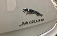 Jaguar XJ 2.0 2014 - Chính chủ bán xe Jaguar XJ 2.0 đời 2014, màu trắng, xe nhập giá 2 tỷ 980 tr tại Hà Nội