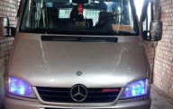 Mercedes-Benz Sprinter 311 2006 - Bán Mercedes Sprinter 311 sản xuất 2006, màu bạc, nhập khẩu giá 235 triệu tại Bến Tre