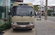 Hyundai County Limousine 2016 - Bán Hyundai County Limousine đời 2016, màu vàng giá 1 tỷ 420 tr tại Đà Nẵng