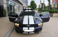 Ford Mustang 2011 - Bán xe Ford Mustang đời 2011, xe nhập giá 1 tỷ 690 tr tại Tp.HCM