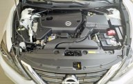 Nissan Teana D 2017 - Bán Nissan Teana D đời 2017, màu trắng, nhập khẩu giá 1 tỷ 160 tr tại Tp.HCM